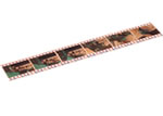 35mmスリーブ